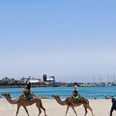 شقة Castillo Mar - 82 كاليتا ذي فوستي